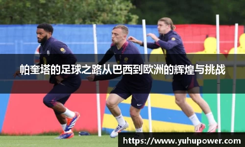 米兰体育官网